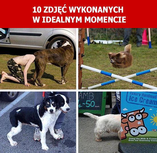 10 zdjęć wykonanych w idealnym momencie