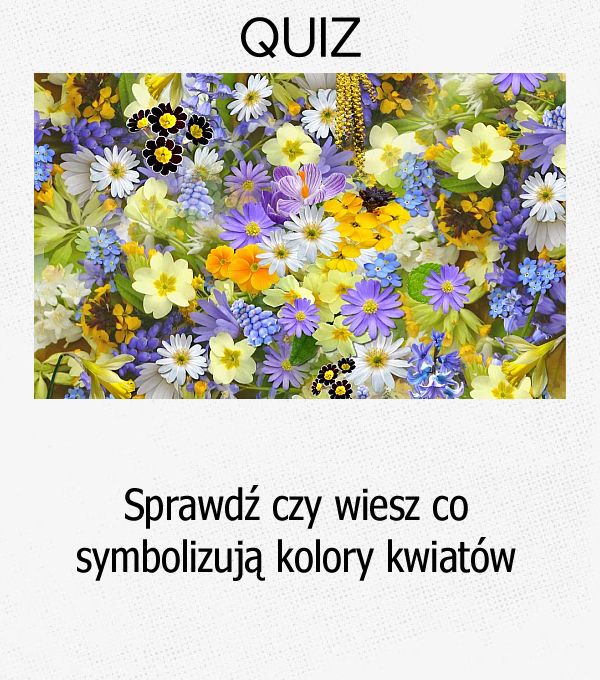 Sprawdź czy wiesz co symbolizują kolory kwiatów