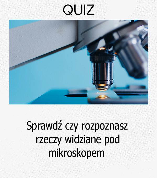 Sprawdź czy rozpoznasz rzeczy widziane pod mikroskopem