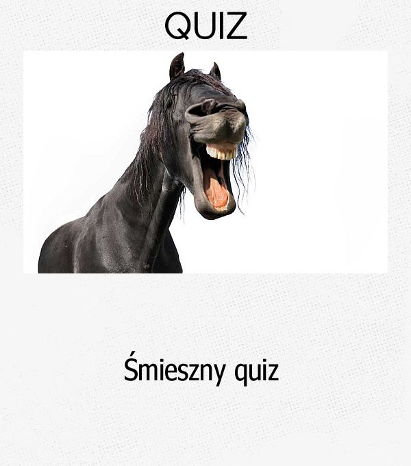 Śmieszny quiz.