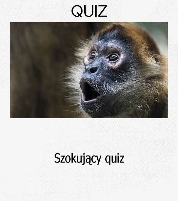 Szokujący quiz.