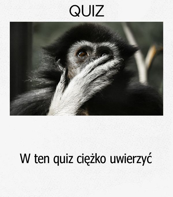 W ten quiz ciężko uwierzyć.