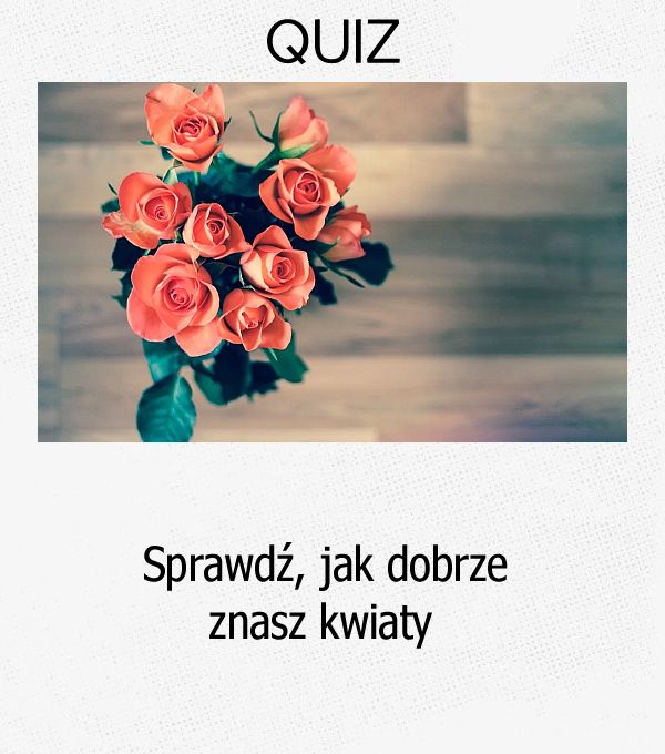 Sprawdź, jak dobrze znasz kwiaty