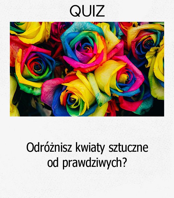 Odróżnisz kwiaty sztuczne od prawdziwych?