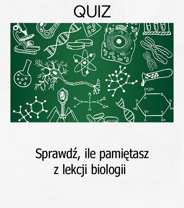 Sprawdź, ile pamiętasz z lekcji biologii